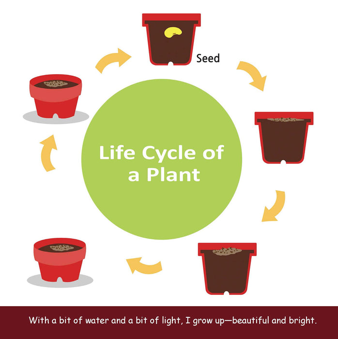 Don't grow up: Being Benjamin Button (Addiction)