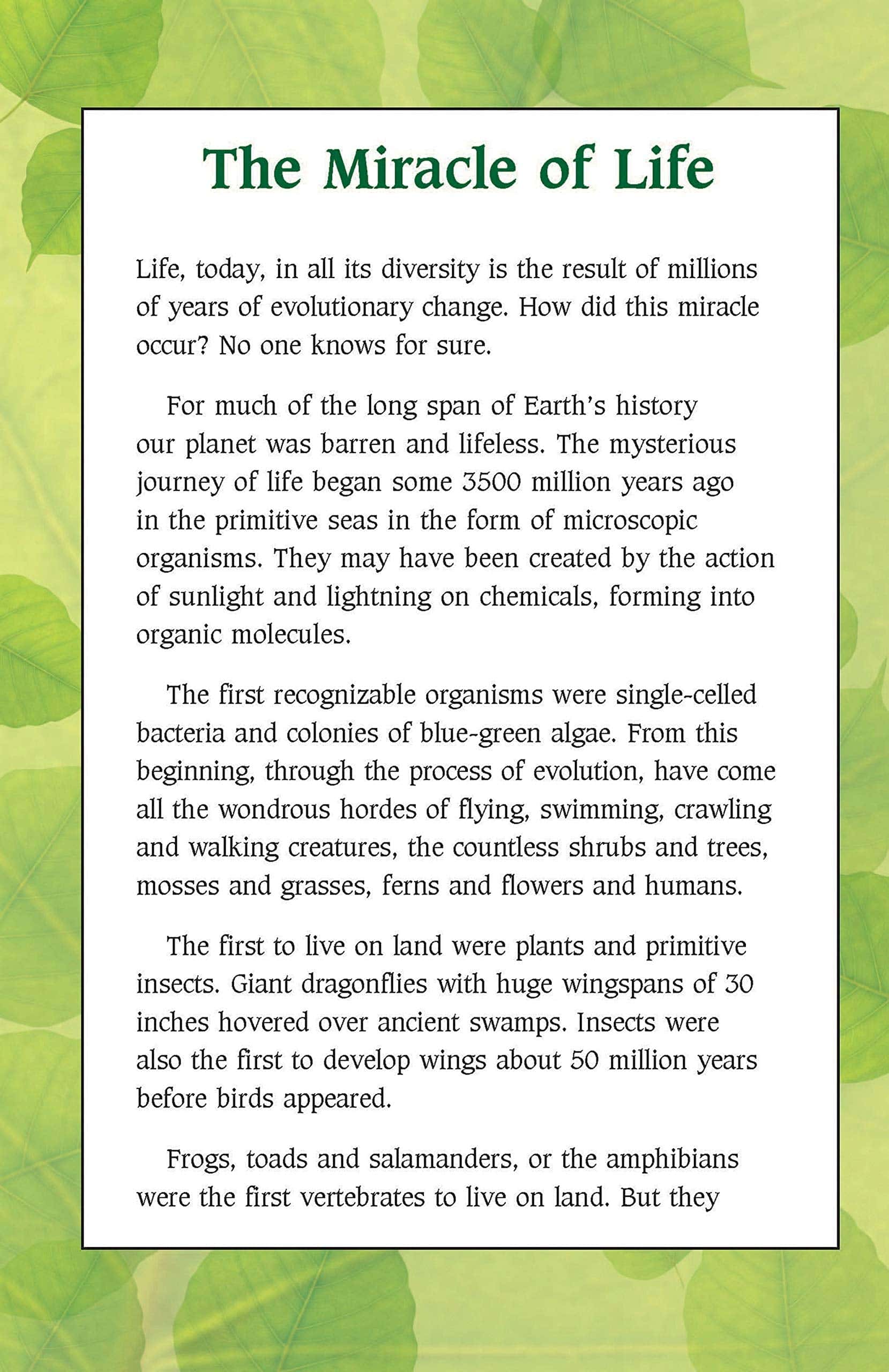 A Nature Notebook -  Celebrating Childhood In English Fiction (Forever Notebooks)