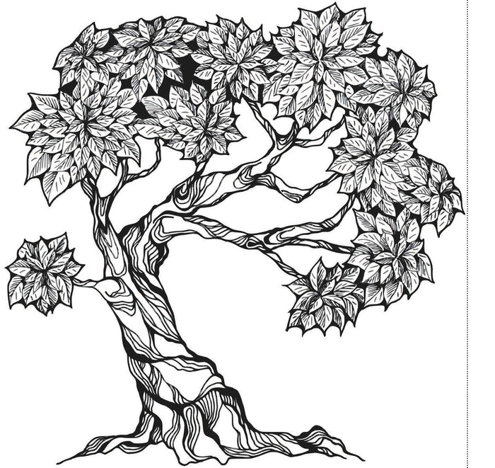The Tree Of Life (Expressions) Book For Creative Coloring, De-stress and Express Creativity
