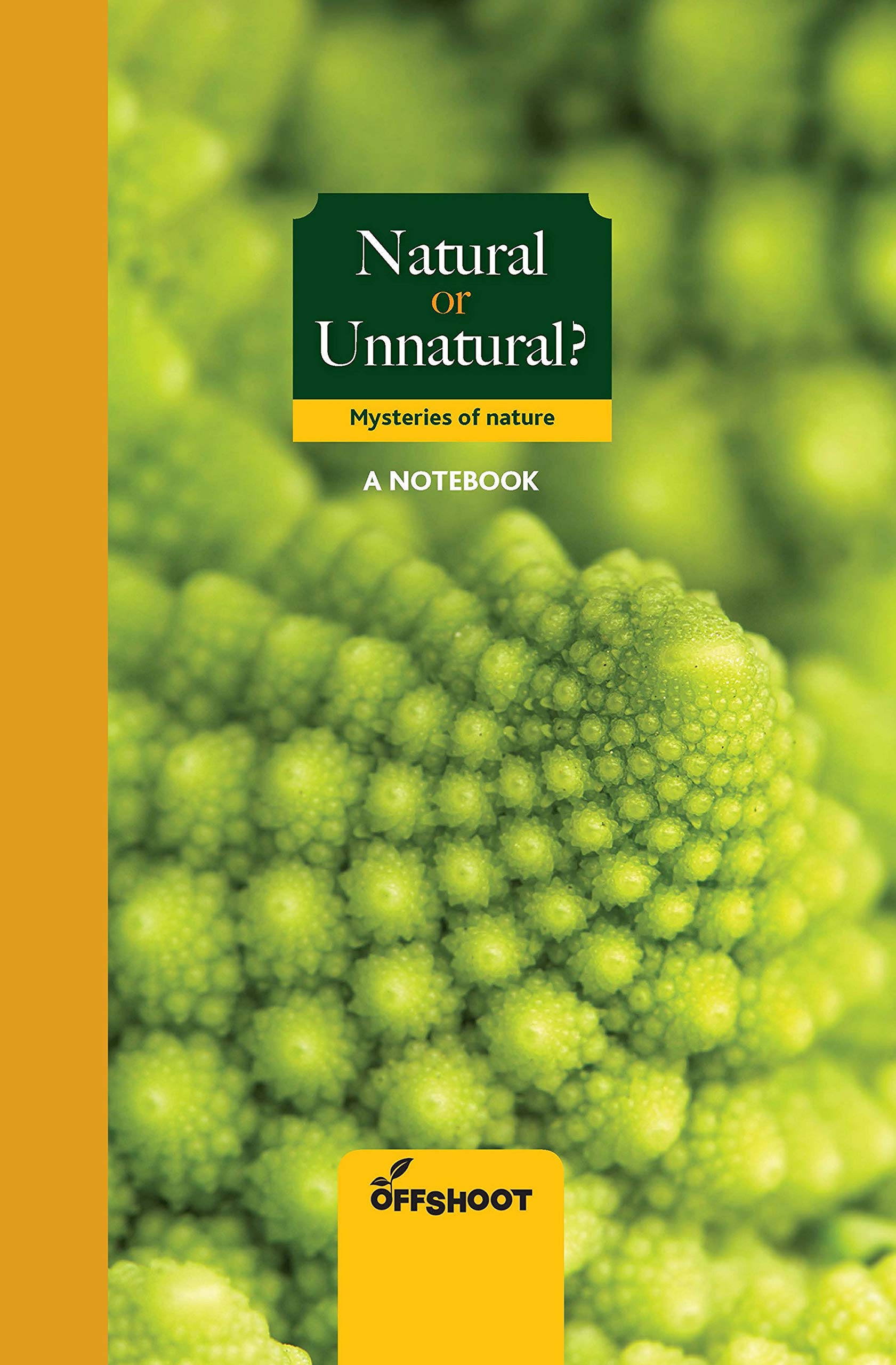 Natural Or Unnatural: Mysteries Of Nature (Forever Notebooks)