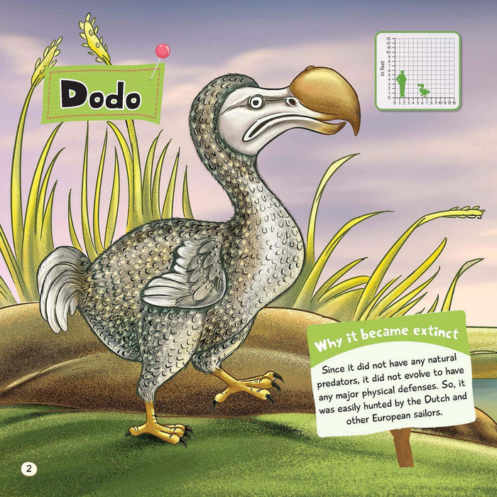 Extinct Animals With Name And Pictures In English For Kids