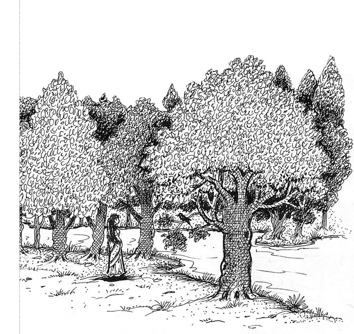 The Tree Of Life (Expressions) Book For Creative Coloring, De-stress and Express Creativity