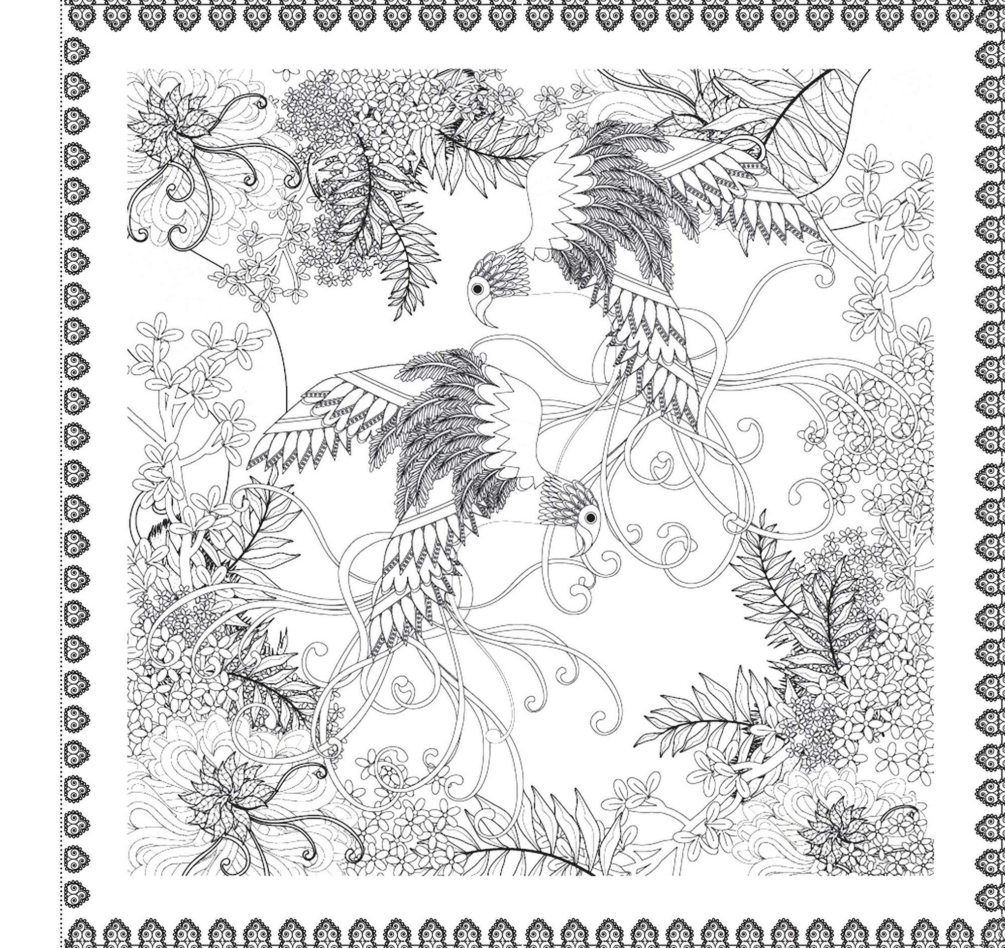 Anomaly Animal-Y (Expressions) : Beautiful Drawings of Animals