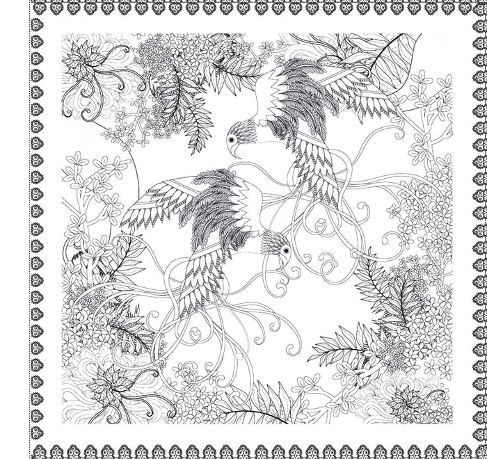 Anomaly Animal-Y (Expressions) : Beautiful Drawings of Animals